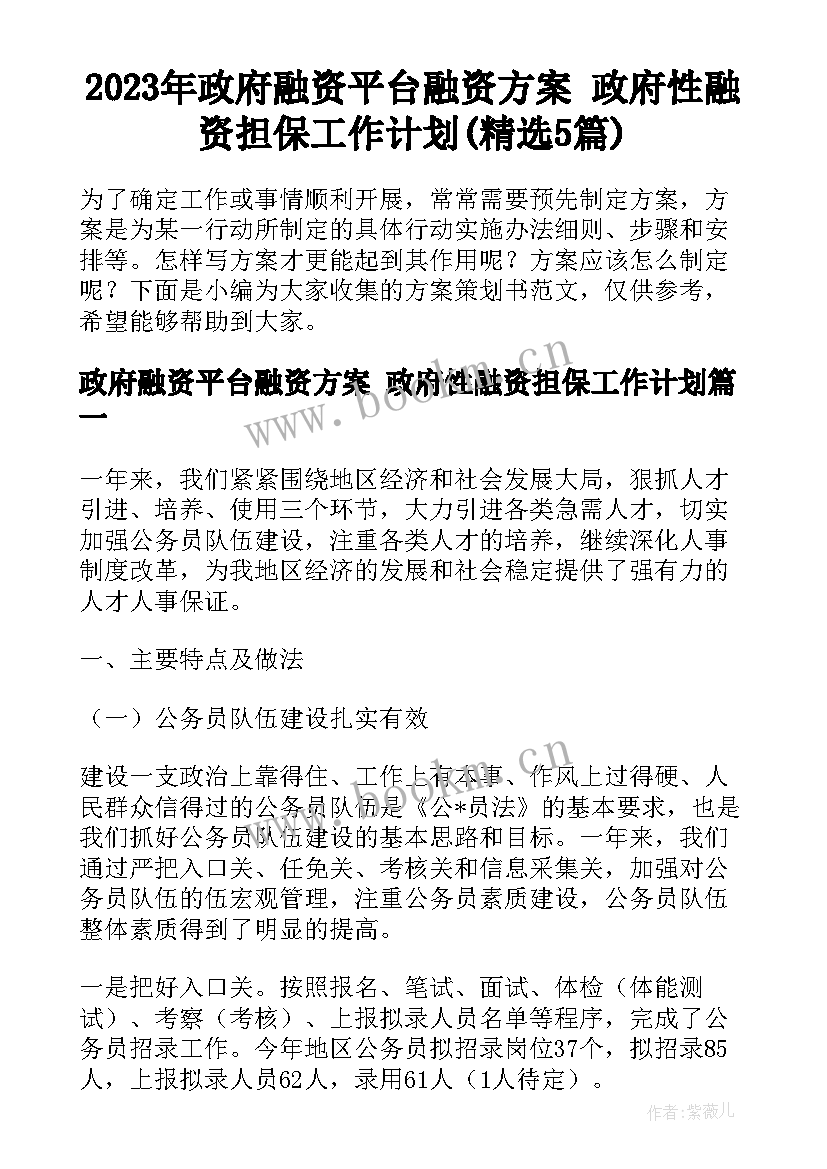 2023年政府融资平台融资方案 政府性融资担保工作计划(精选5篇)