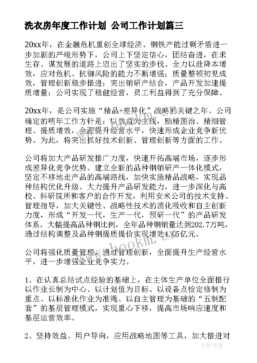 2023年洗衣房年度工作计划 公司工作计划(大全5篇)