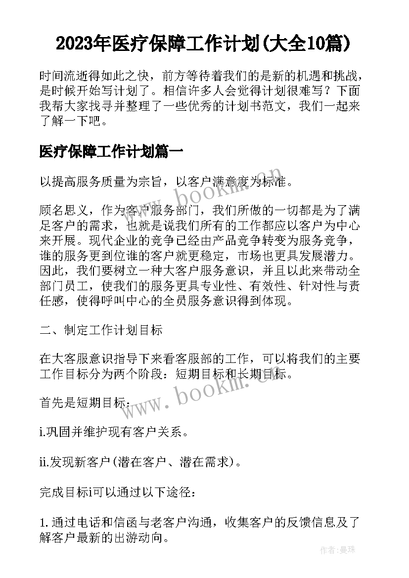 2023年医疗保障工作计划(大全10篇)