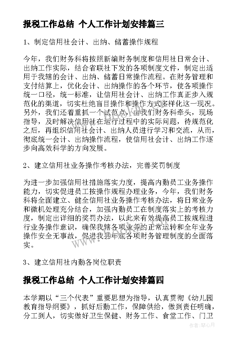 2023年报税工作总结 个人工作计划安排(通用7篇)