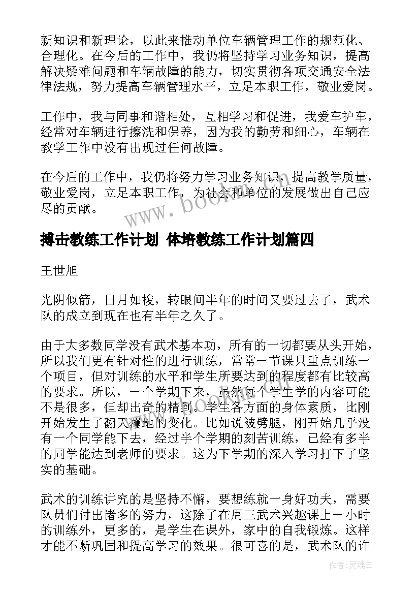 2023年搏击教练工作计划 体培教练工作计划(模板6篇)