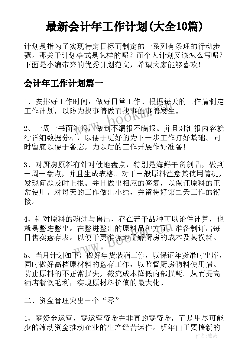 最新会计年工作计划(大全10篇)