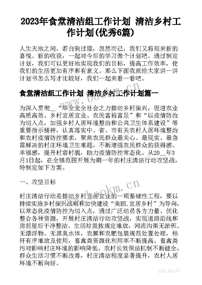 2023年食堂清洁组工作计划 清洁乡村工作计划(优秀6篇)