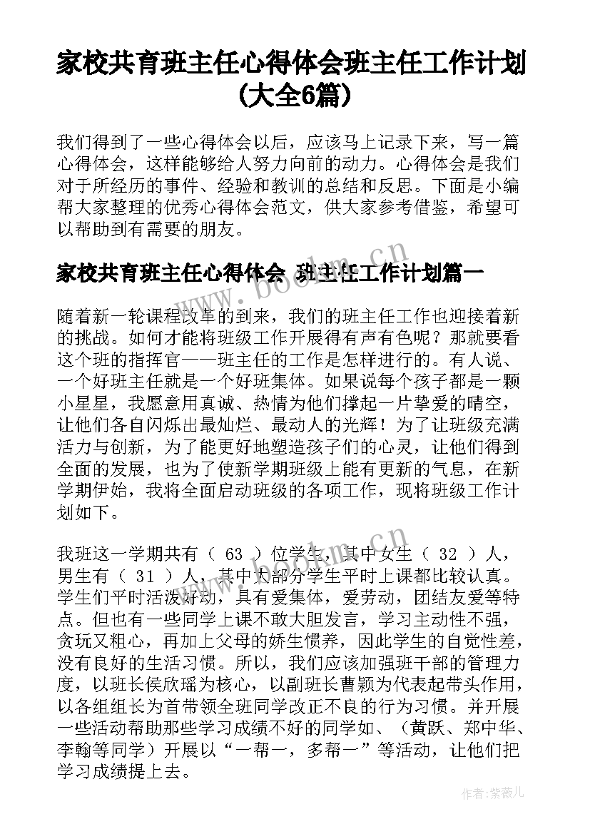 家校共育班主任心得体会 班主任工作计划(大全6篇)