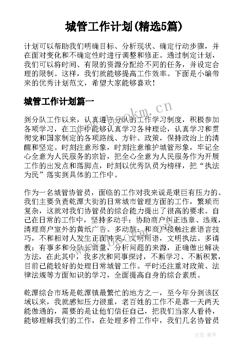 城管工作计划(精选5篇)