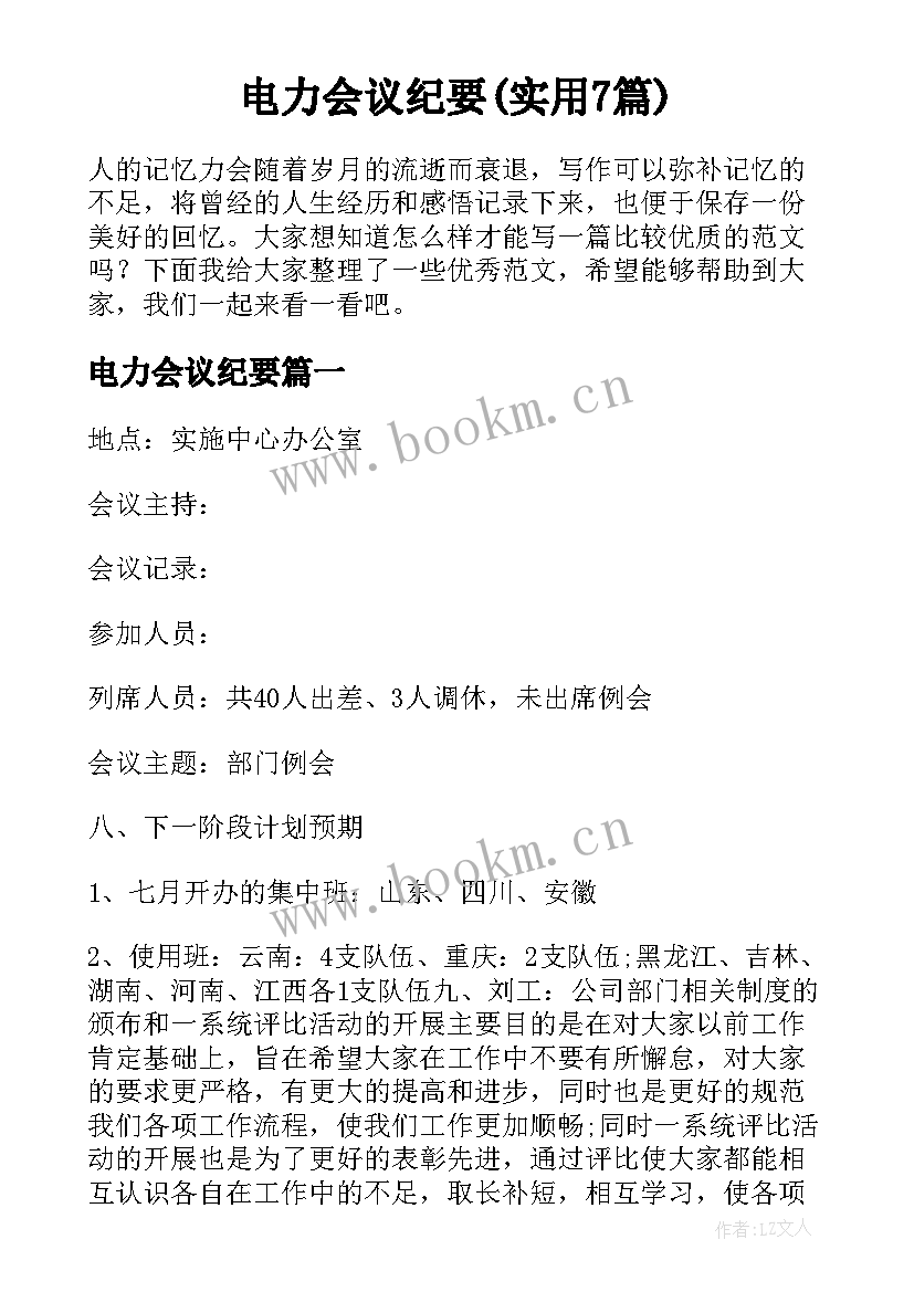 电力会议纪要(实用7篇)