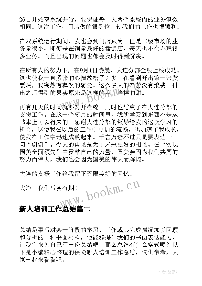 最新新人培训工作总结(模板8篇)