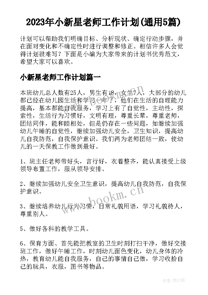 2023年小新星老师工作计划(通用5篇)