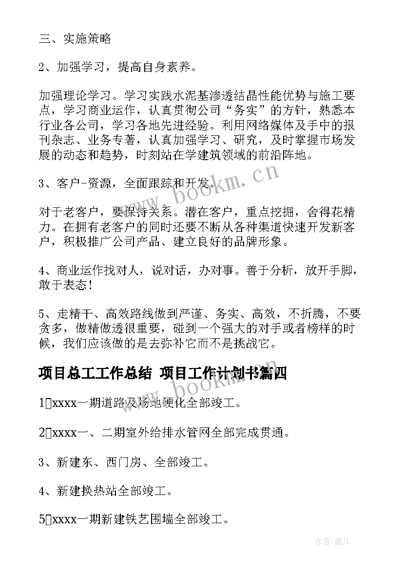 2023年项目总工工作总结 项目工作计划书(优秀6篇)