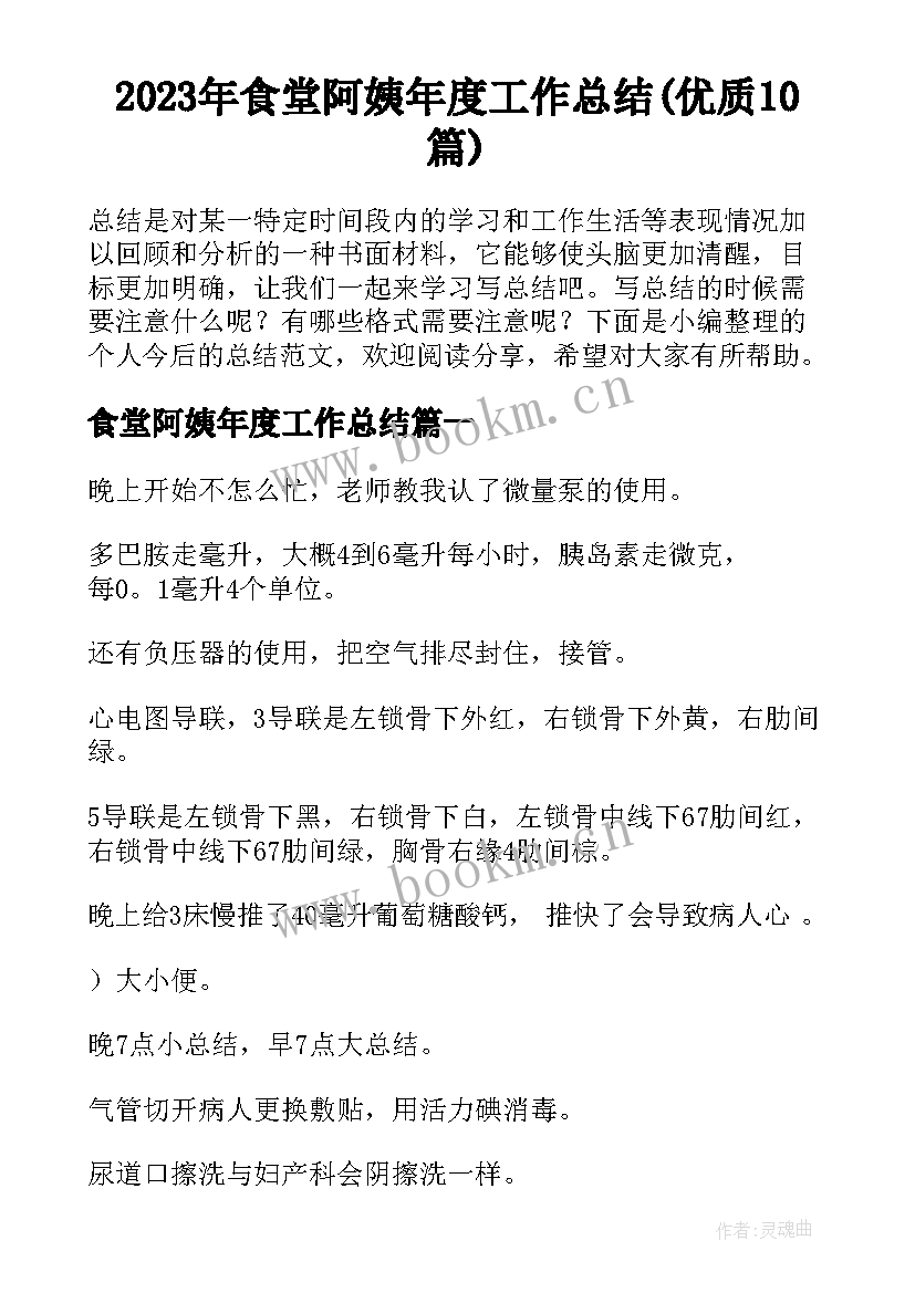 2023年食堂阿姨年度工作总结(优质10篇)