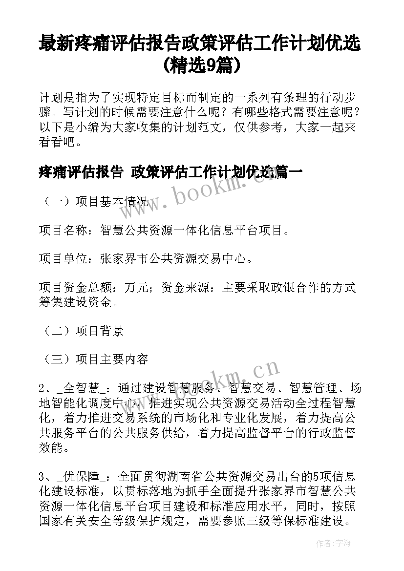 最新疼痛评估报告 政策评估工作计划优选(精选9篇)