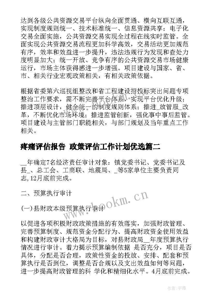 最新疼痛评估报告 政策评估工作计划优选(精选9篇)