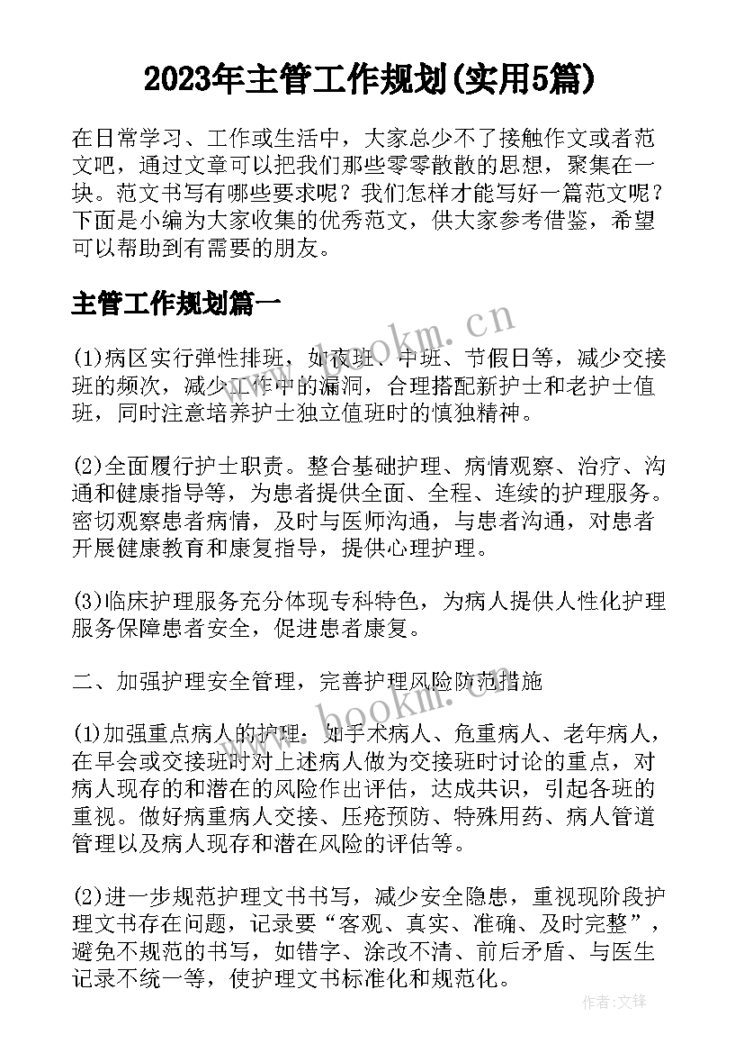 2023年主管工作规划(实用5篇)