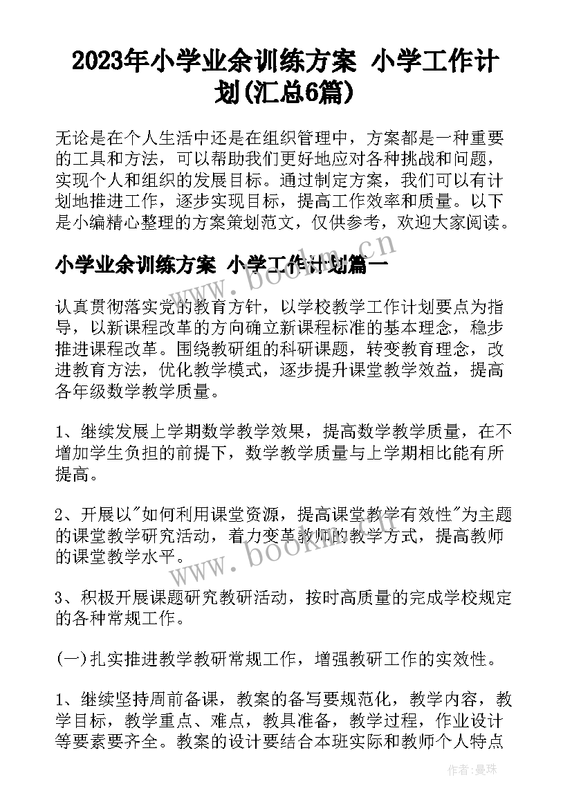 2023年小学业余训练方案 小学工作计划(汇总6篇)