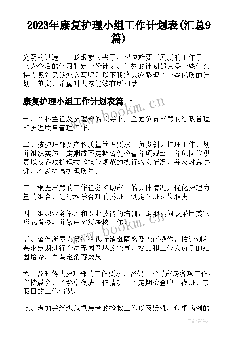 2023年康复护理小组工作计划表(汇总9篇)