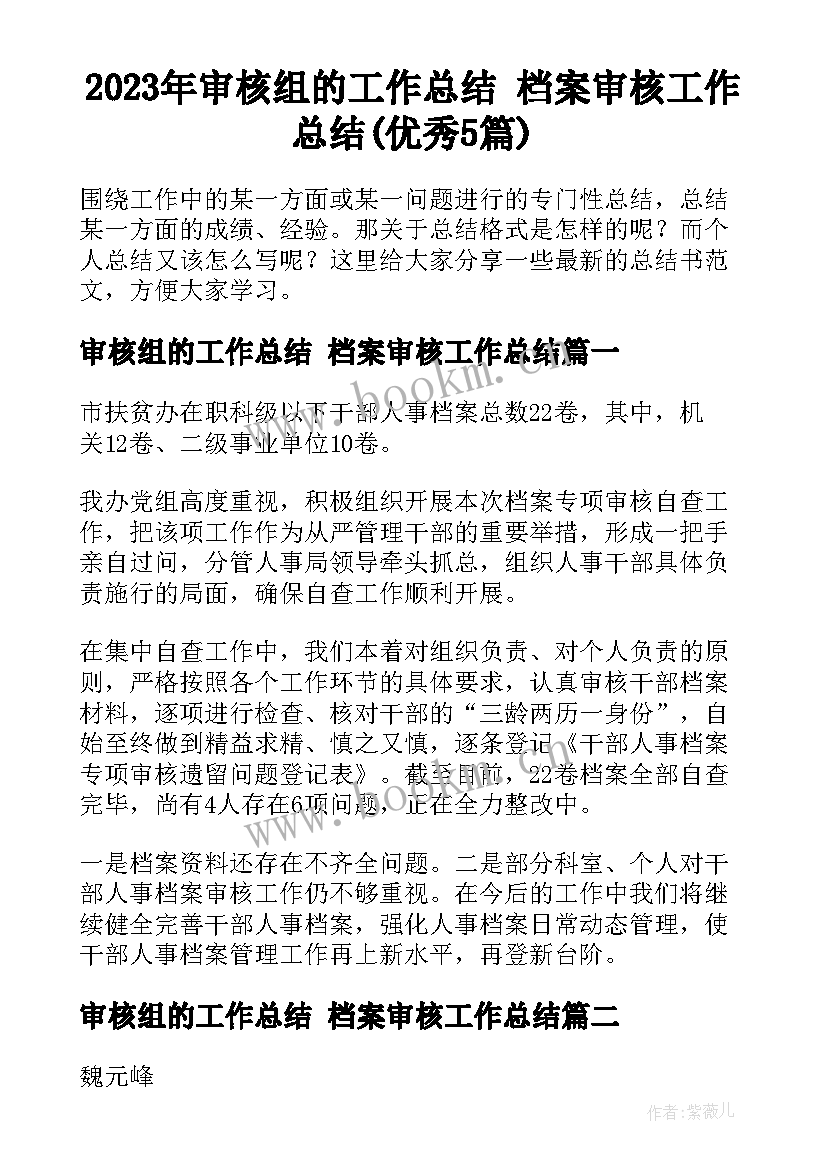 2023年审核组的工作总结 档案审核工作总结(优秀5篇)