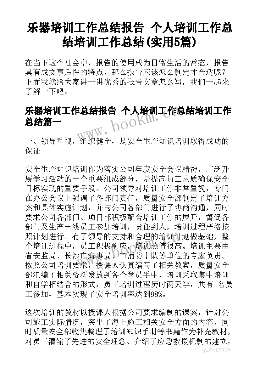 乐器培训工作总结报告 个人培训工作总结培训工作总结(实用5篇)