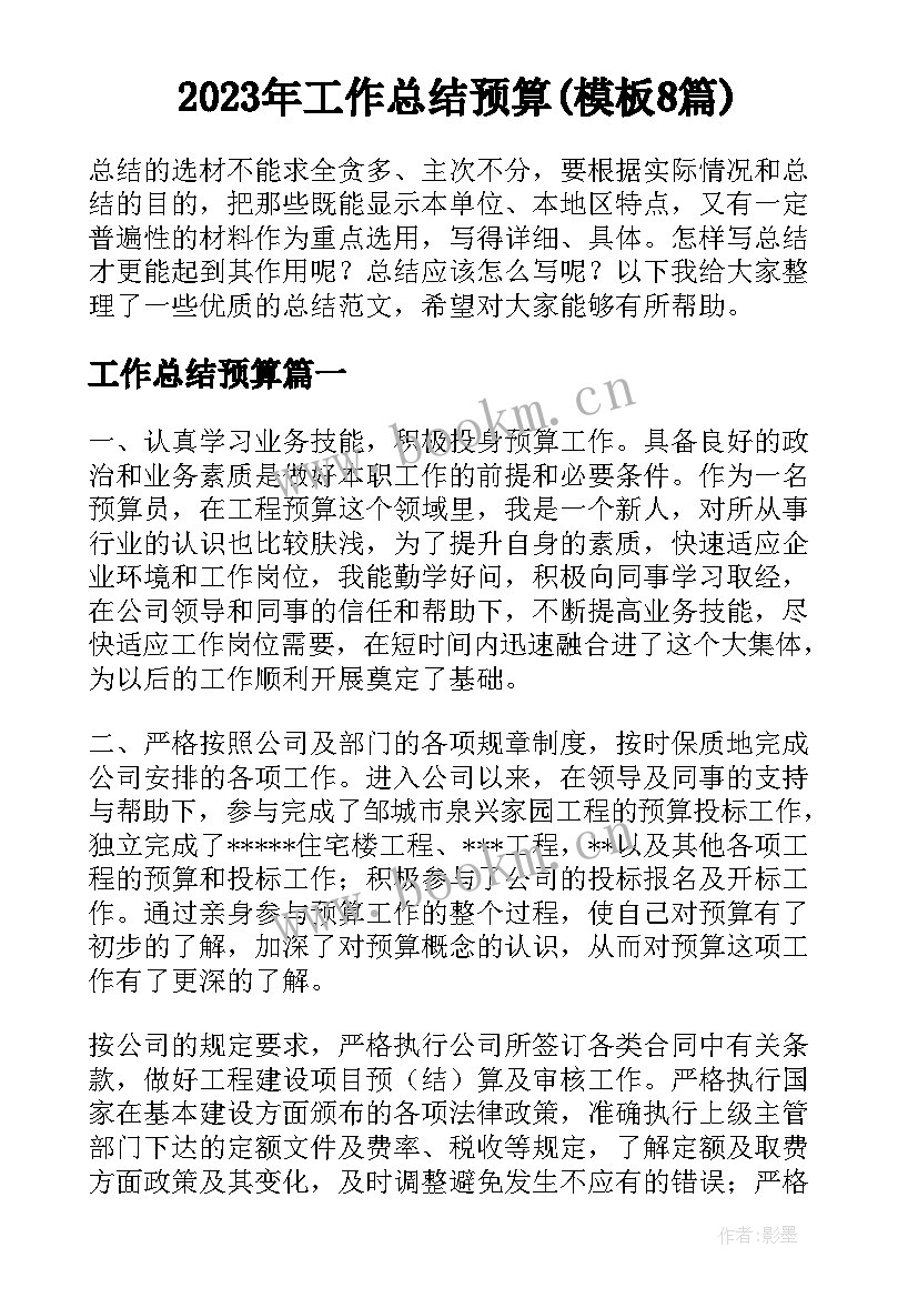 2023年工作总结预算(模板8篇)