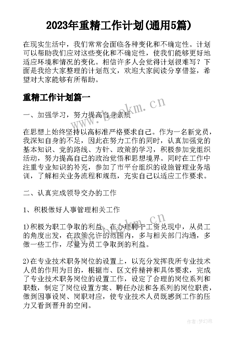 2023年重精工作计划(通用5篇)