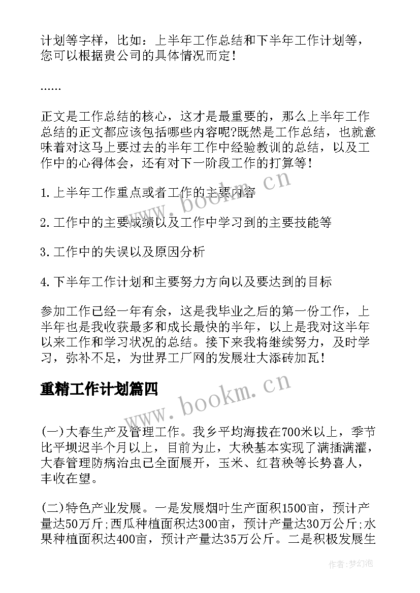 2023年重精工作计划(通用5篇)