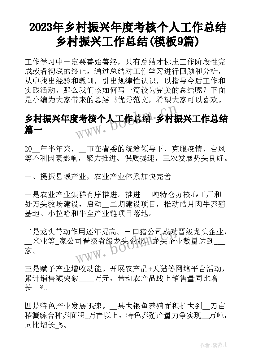 2023年乡村振兴年度考核个人工作总结 乡村振兴工作总结(模板9篇)