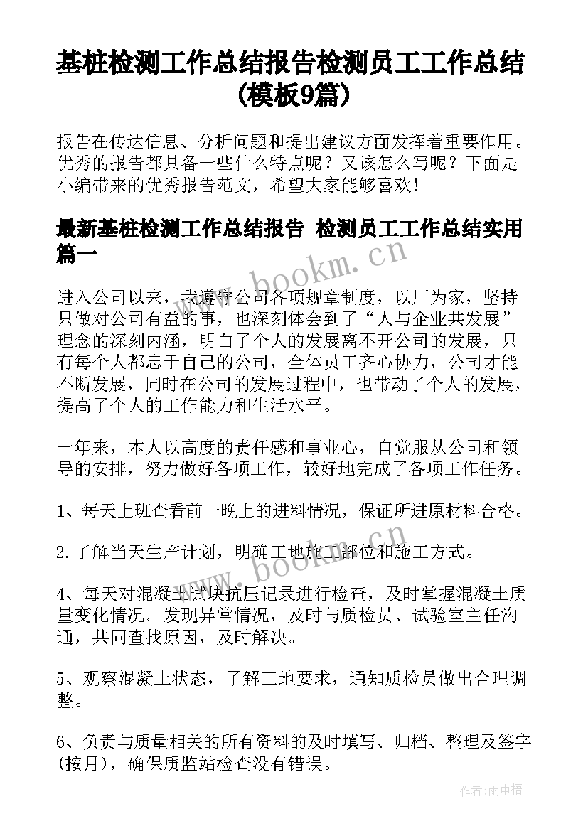 基桩检测工作总结报告 检测员工工作总结(模板9篇)