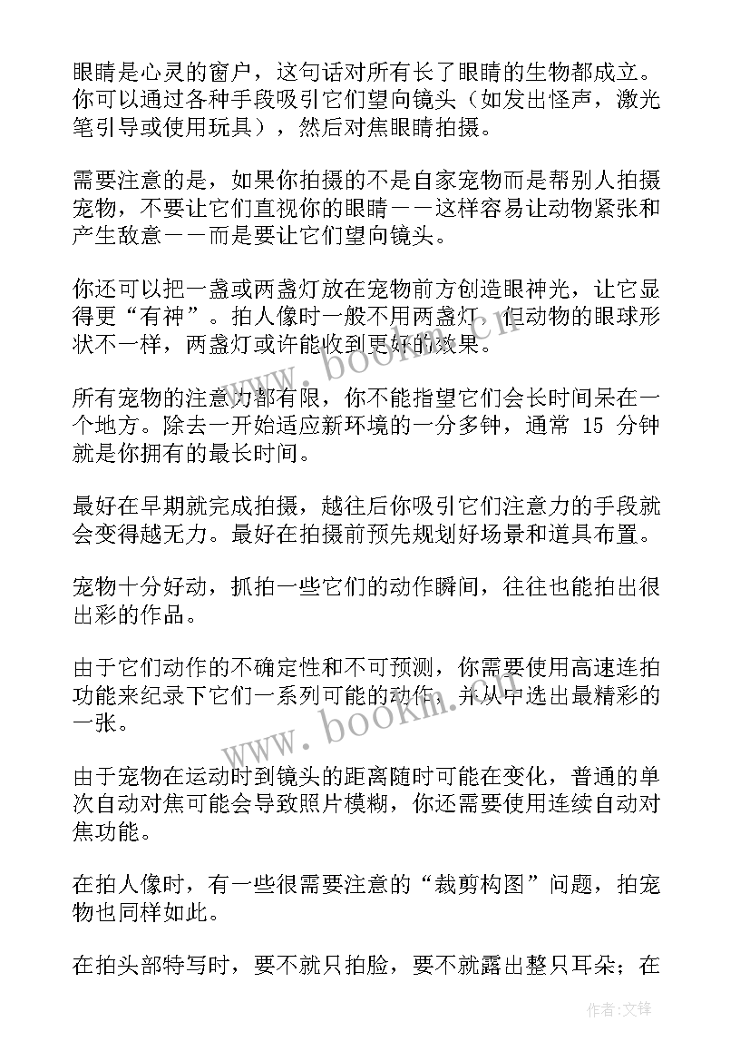 2023年宠物殡葬策划书 宠物摄影工作计划优选(大全5篇)