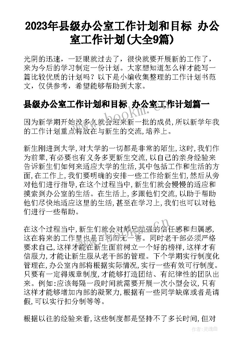 2023年县级办公室工作计划和目标 办公室工作计划(大全9篇)