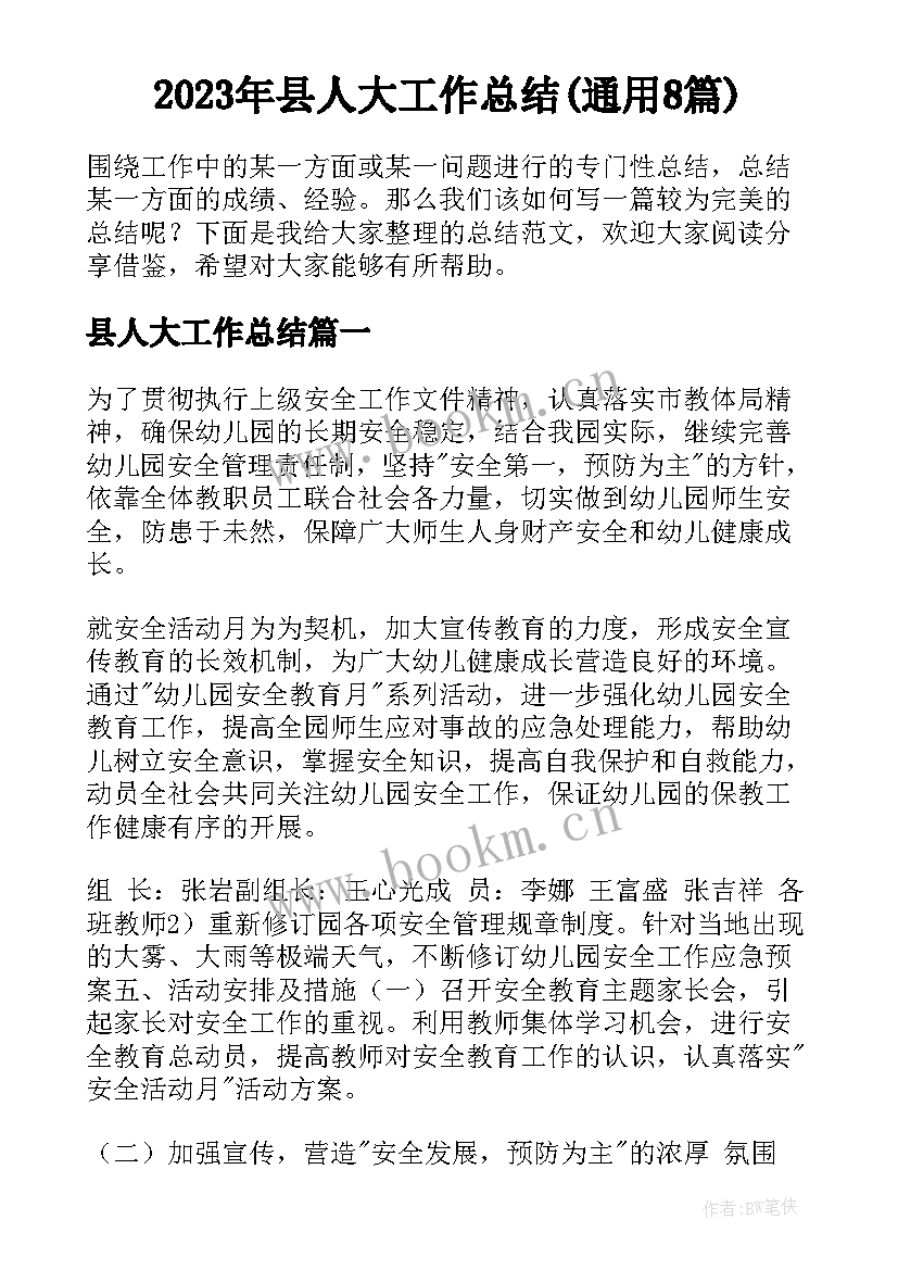 2023年县人大工作总结(通用8篇)