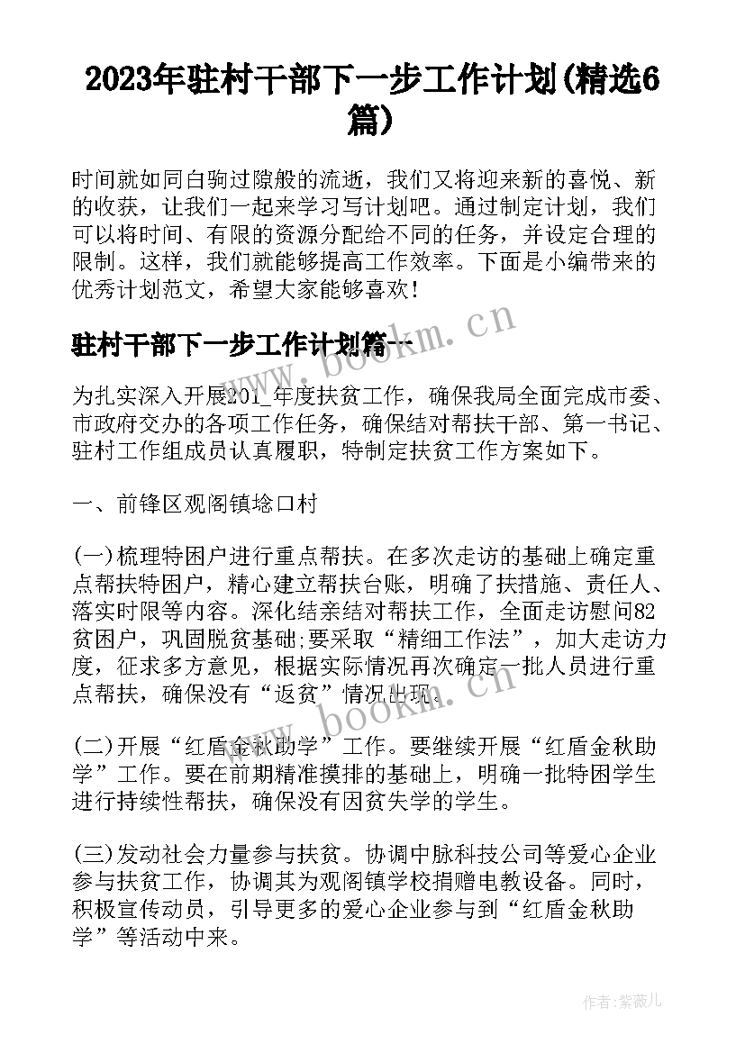 2023年驻村干部下一步工作计划(精选6篇)