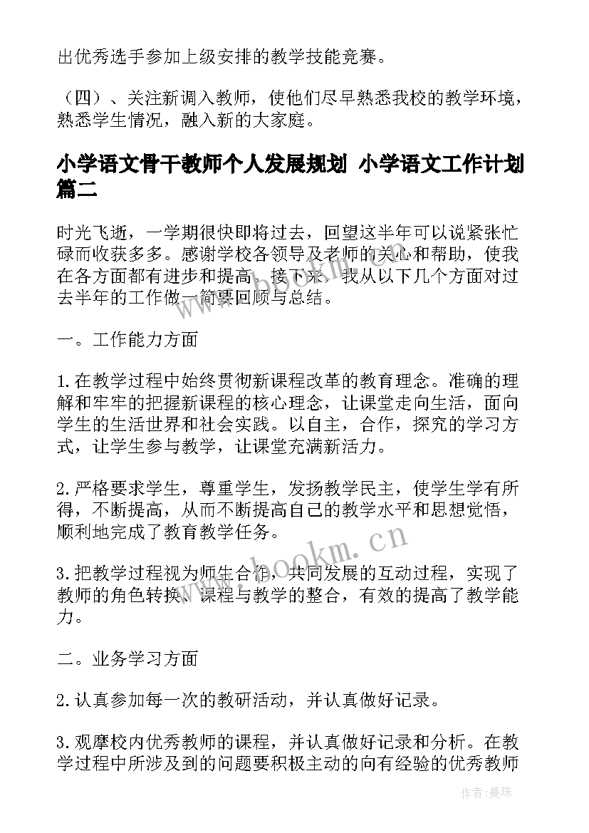 2023年小学语文骨干教师个人发展规划 小学语文工作计划(模板10篇)