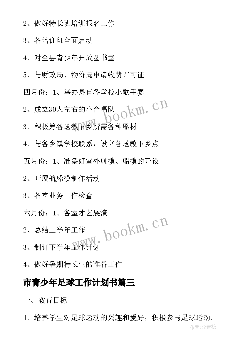 市青少年足球工作计划书(大全10篇)