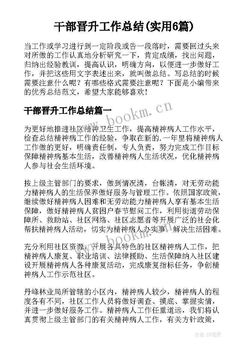 干部晋升工作总结(实用6篇)