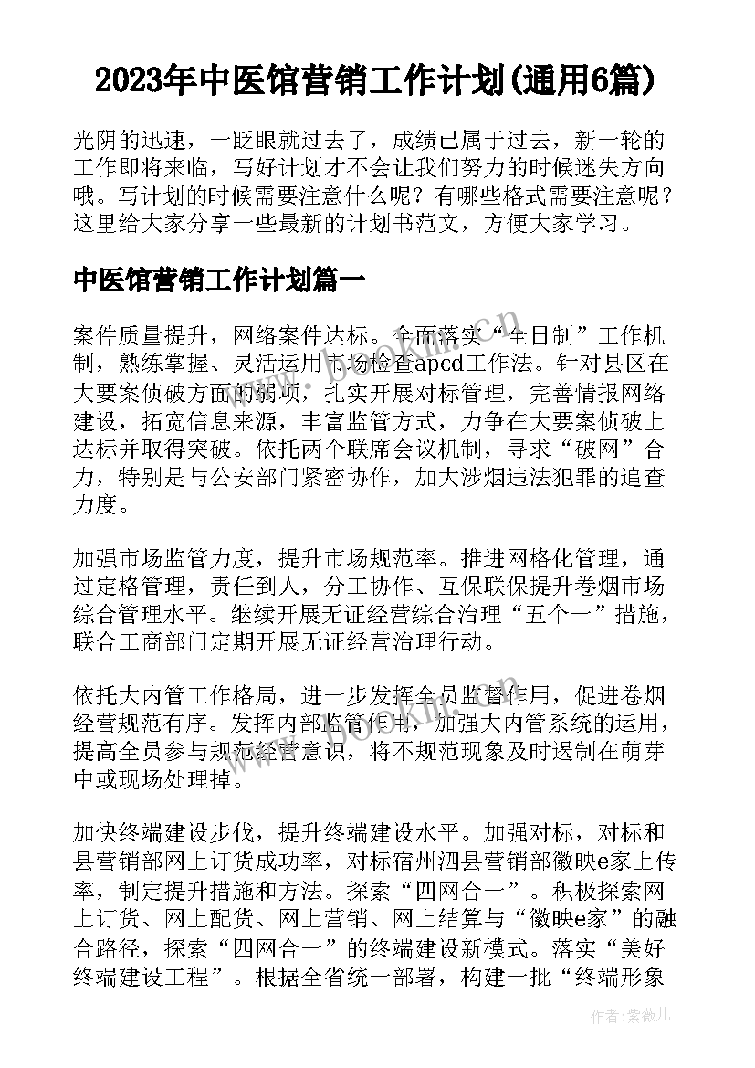 2023年中医馆营销工作计划(通用6篇)