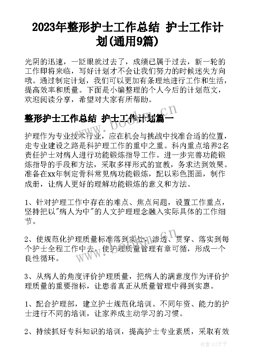 2023年整形护士工作总结 护士工作计划(通用9篇)