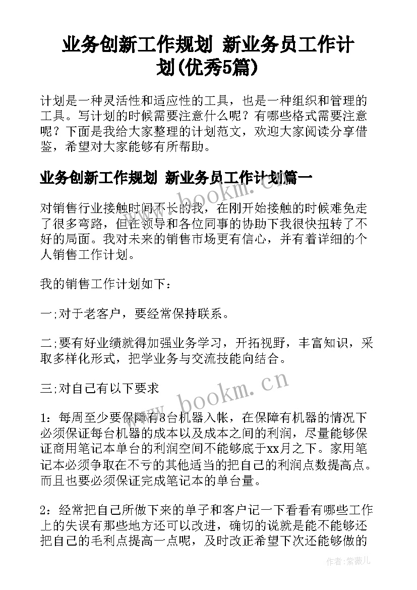 业务创新工作规划 新业务员工作计划(优秀5篇)