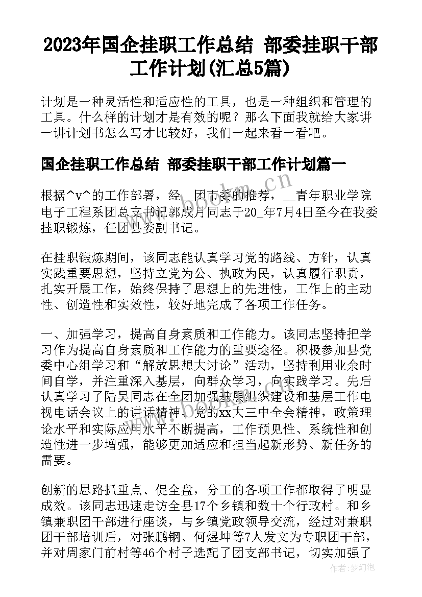 2023年国企挂职工作总结 部委挂职干部工作计划(汇总5篇)