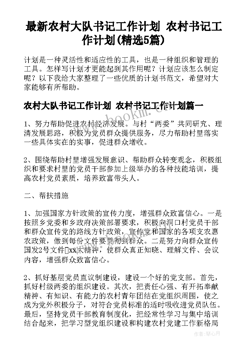 最新农村大队书记工作计划 农村书记工作计划(精选5篇)