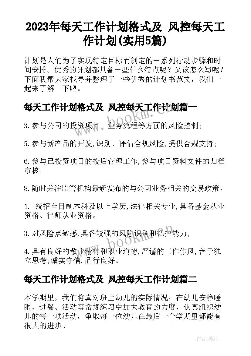 2023年每天工作计划格式及 风控每天工作计划(实用5篇)