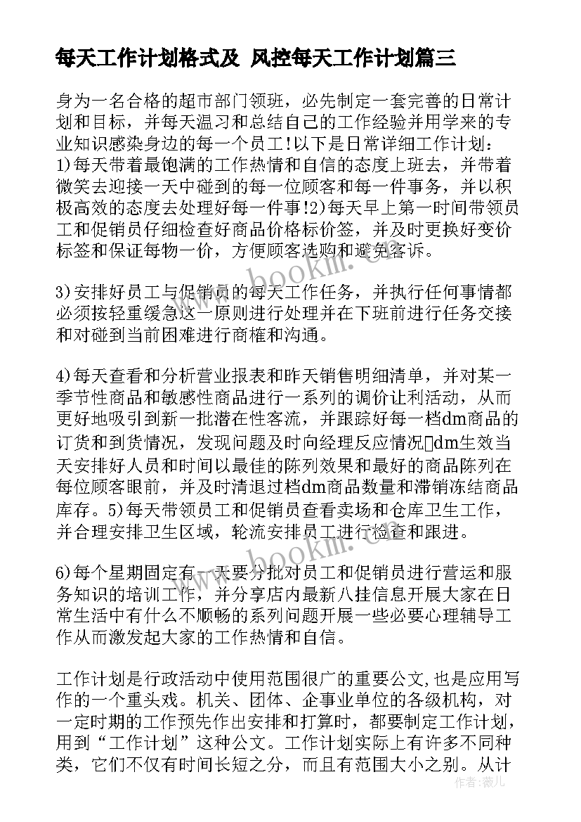 2023年每天工作计划格式及 风控每天工作计划(实用5篇)