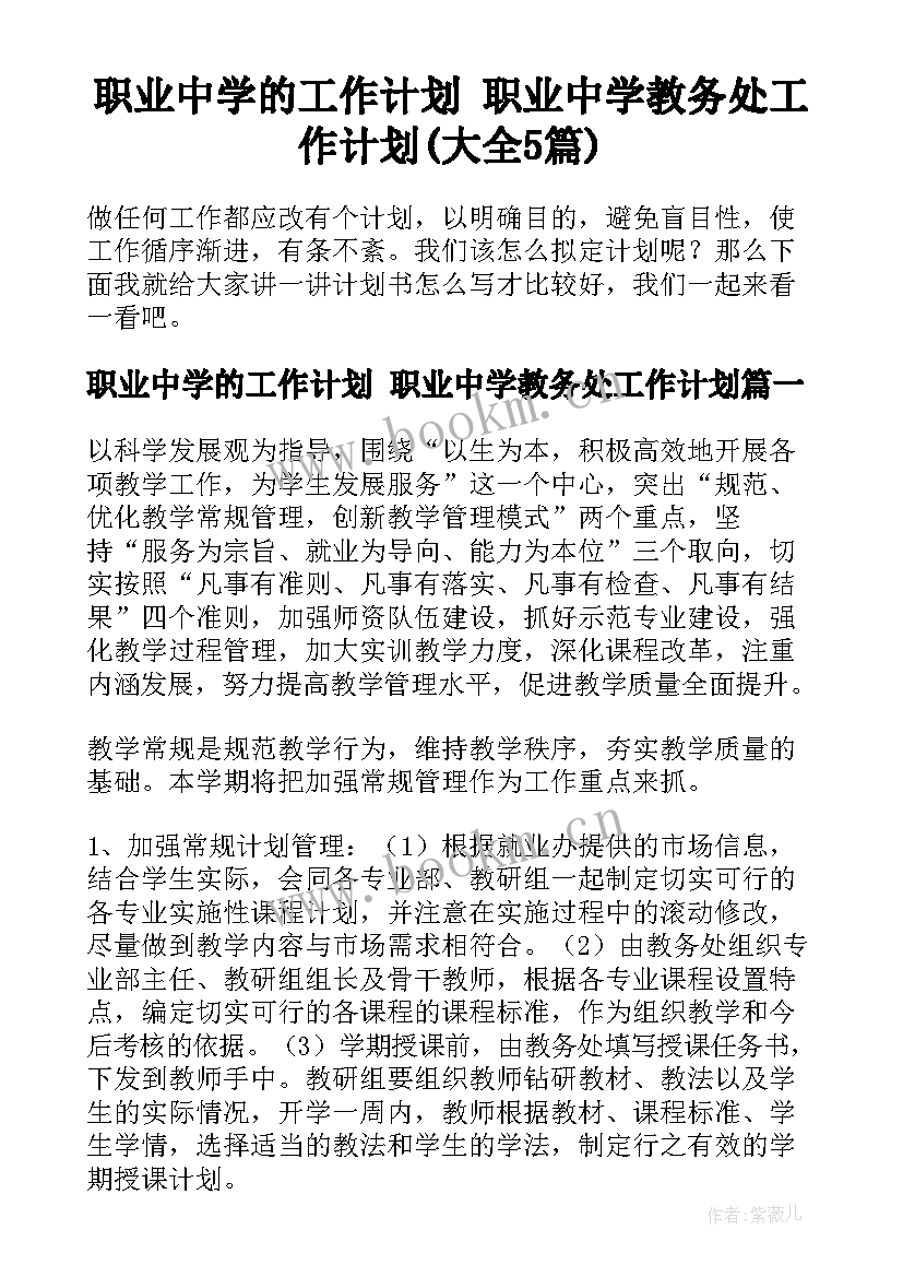 职业中学的工作计划 职业中学教务处工作计划(大全5篇)