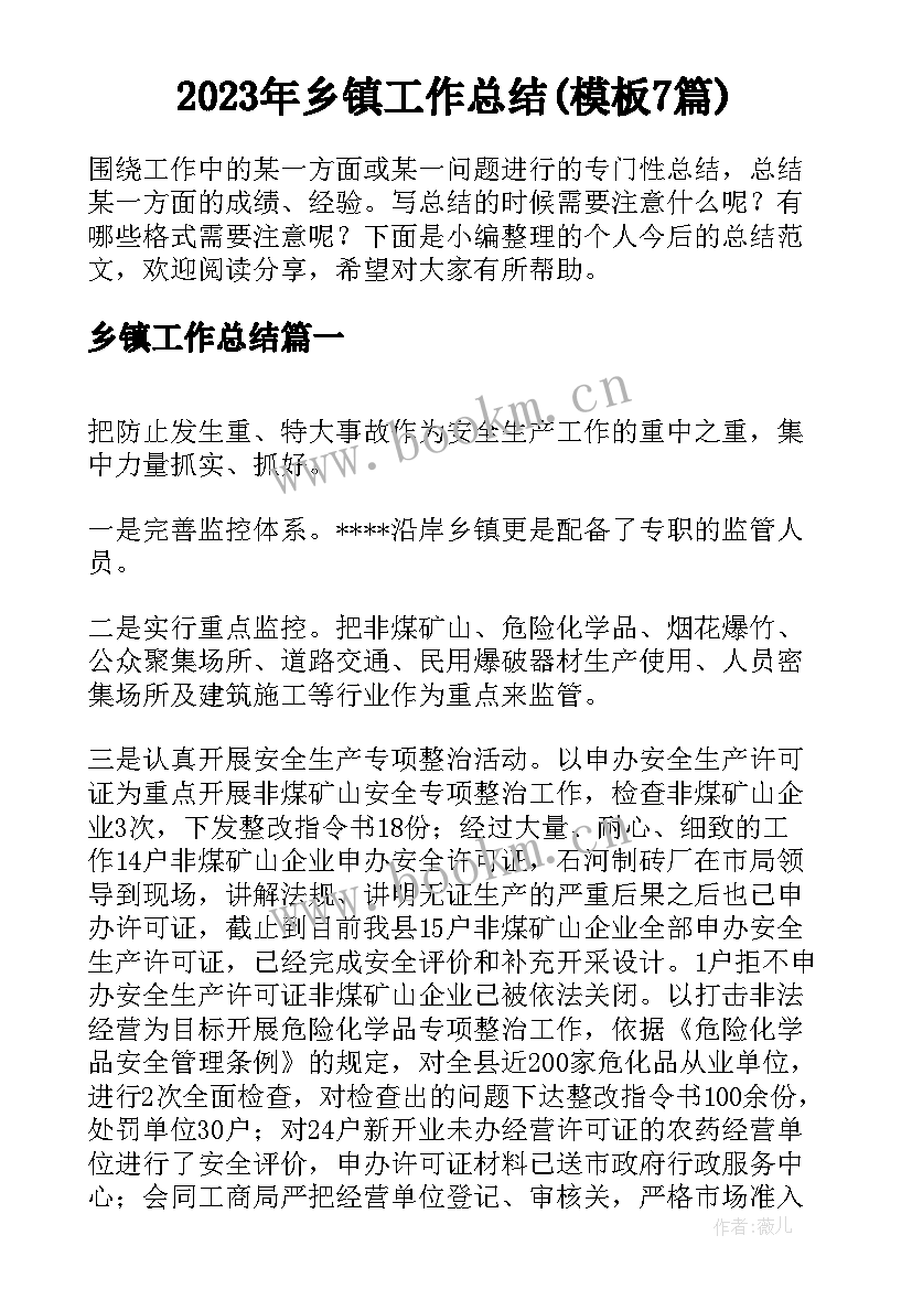 2023年乡镇工作总结(模板7篇)