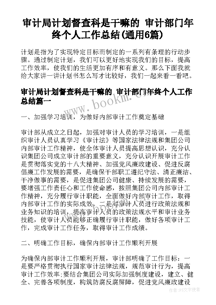 审计局计划督查科是干嘛的 审计部门年终个人工作总结(通用6篇)