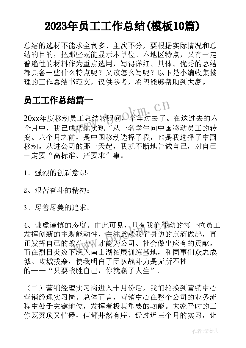 2023年员工工作总结(模板10篇)