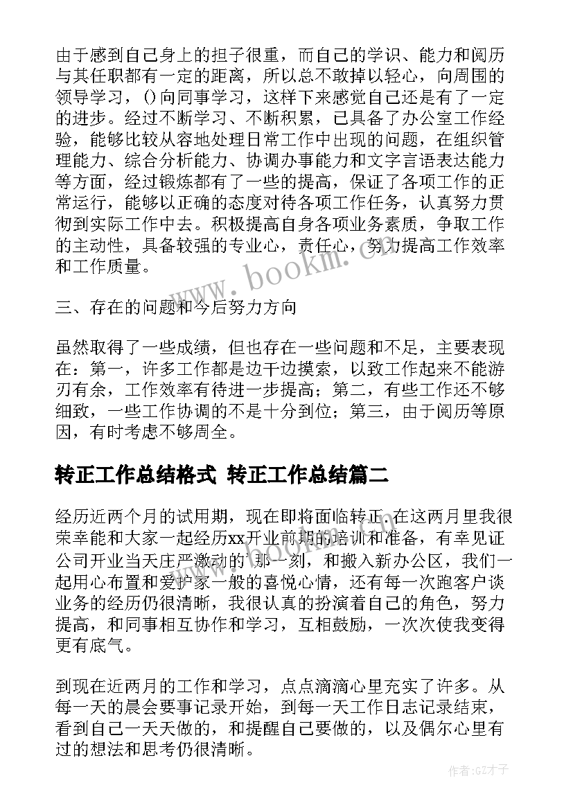 最新转正工作总结格式 转正工作总结(优质9篇)