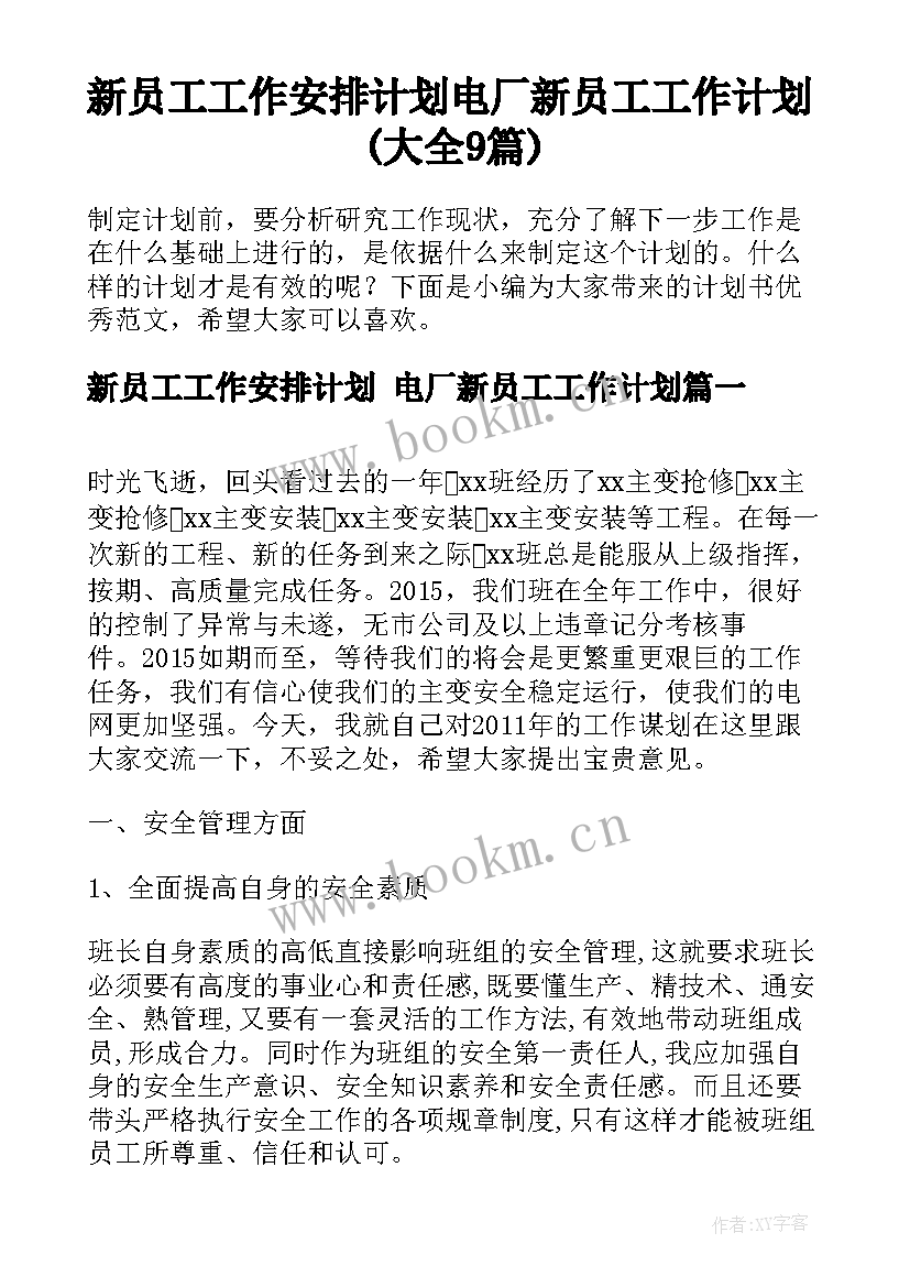 新员工工作安排计划 电厂新员工工作计划(大全9篇)