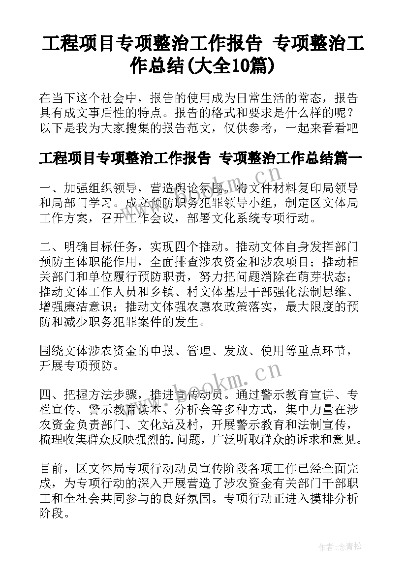 工程项目专项整治工作报告 专项整治工作总结(大全10篇)