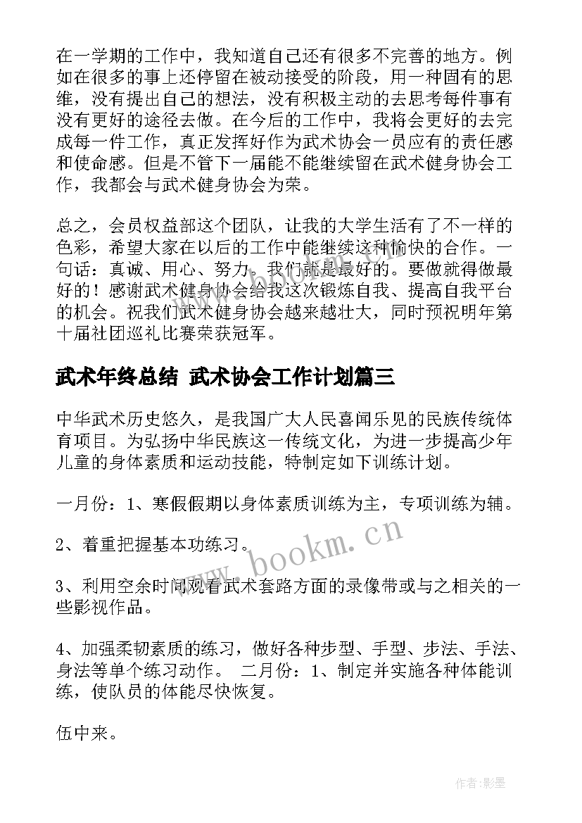 最新武术年终总结 武术协会工作计划(优质10篇)