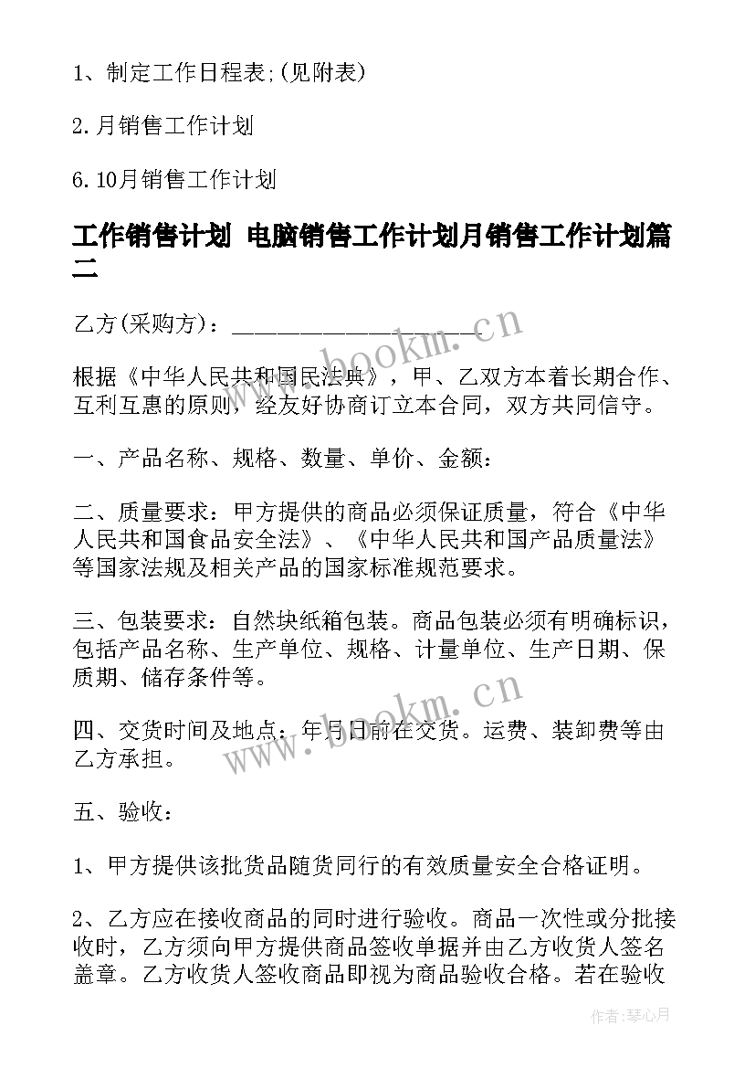 工作销售计划 电脑销售工作计划月销售工作计划(模板8篇)