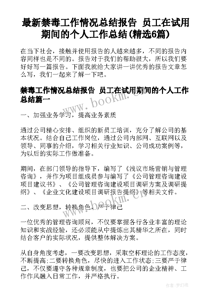 最新禁毒工作情况总结报告 员工在试用期间的个人工作总结(精选6篇)